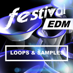 Festival EDM Sample Pack