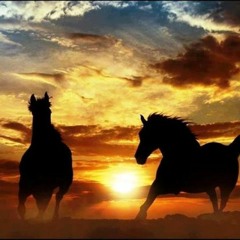 فَقَالَ إِنِّي أَحْبَبْتُ حُبَّ الْخَيْرِ عَنْ ذِكْرِ رَبِّي حَتَّى تَوَارَتْ بِالْحِجَابِ