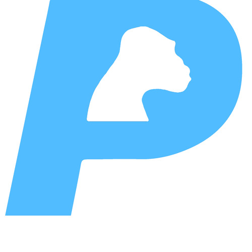 Primate Recordings (97 - 07)