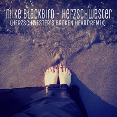 Niike Blackbird - Herzschwester (Herzschwester's Broken Heart Remix)