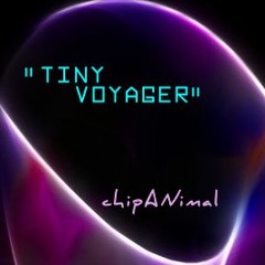 TINY VOYAGER - ChipANimal