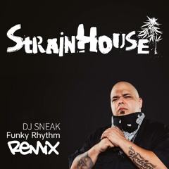 Funky Rhythm (StrainHouse Remix)