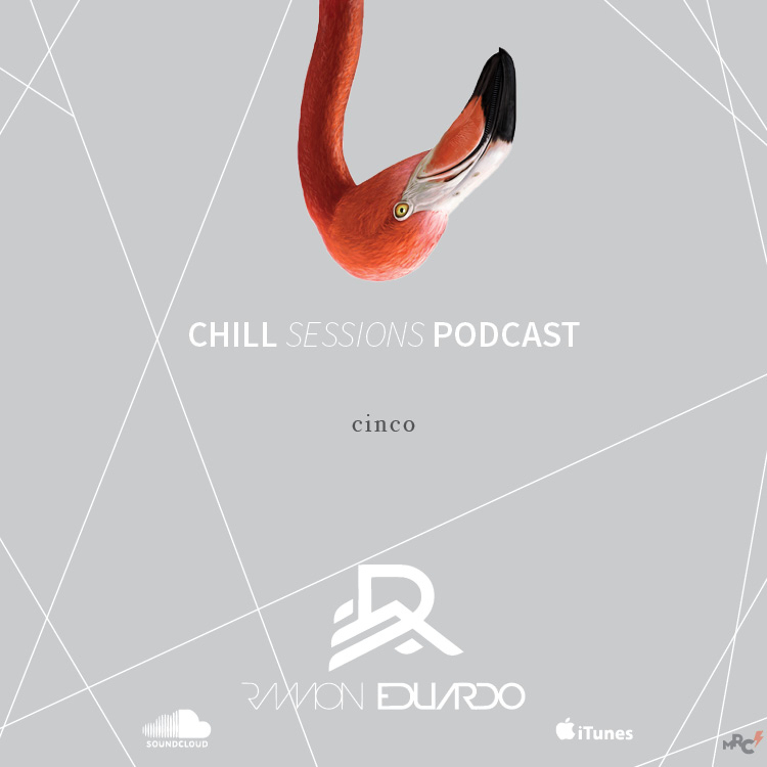 Chill Sessions #5 episode artwork