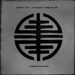 Defect 13th - Luminescent Wires(Hubble Trax_005)