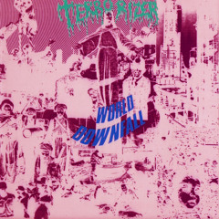 Fear of Napalm (Terrorizer cover)