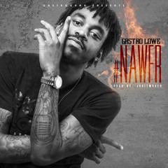 NawFR - Gastro Lowe