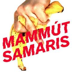 Mammút - Ströndin (Samaris remix)