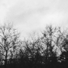 Never Had A Care For Me