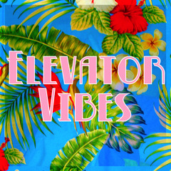 Elevator Vibes