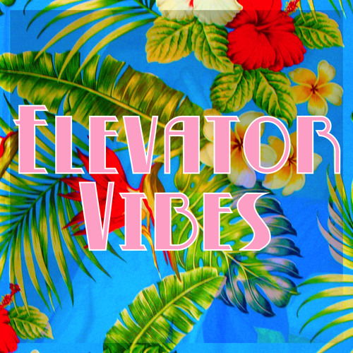 Elevator Vibes