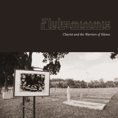 Flukeminimix - Chariot and the Warriors of Silence
