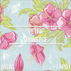 Petrii - Submerge