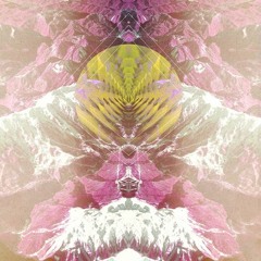 monaco trio - flamingos am weissen see