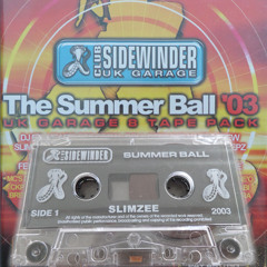 Slimzee, Riko, Major Ace, Dogzilla – Sidewinder Summer Ball – 2003