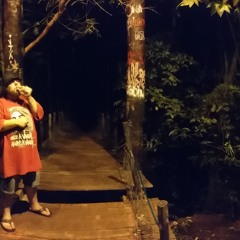 João Leão - Vagabundo Original - prod. FRL*studio