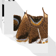 I Remember That Time