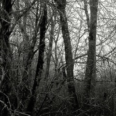 Despair (original) lucca.S