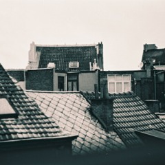 Along the Hillside