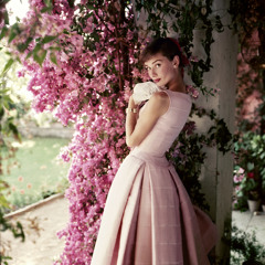 Audrey Hepburn An Interview With Luca Dotti By Npglondon