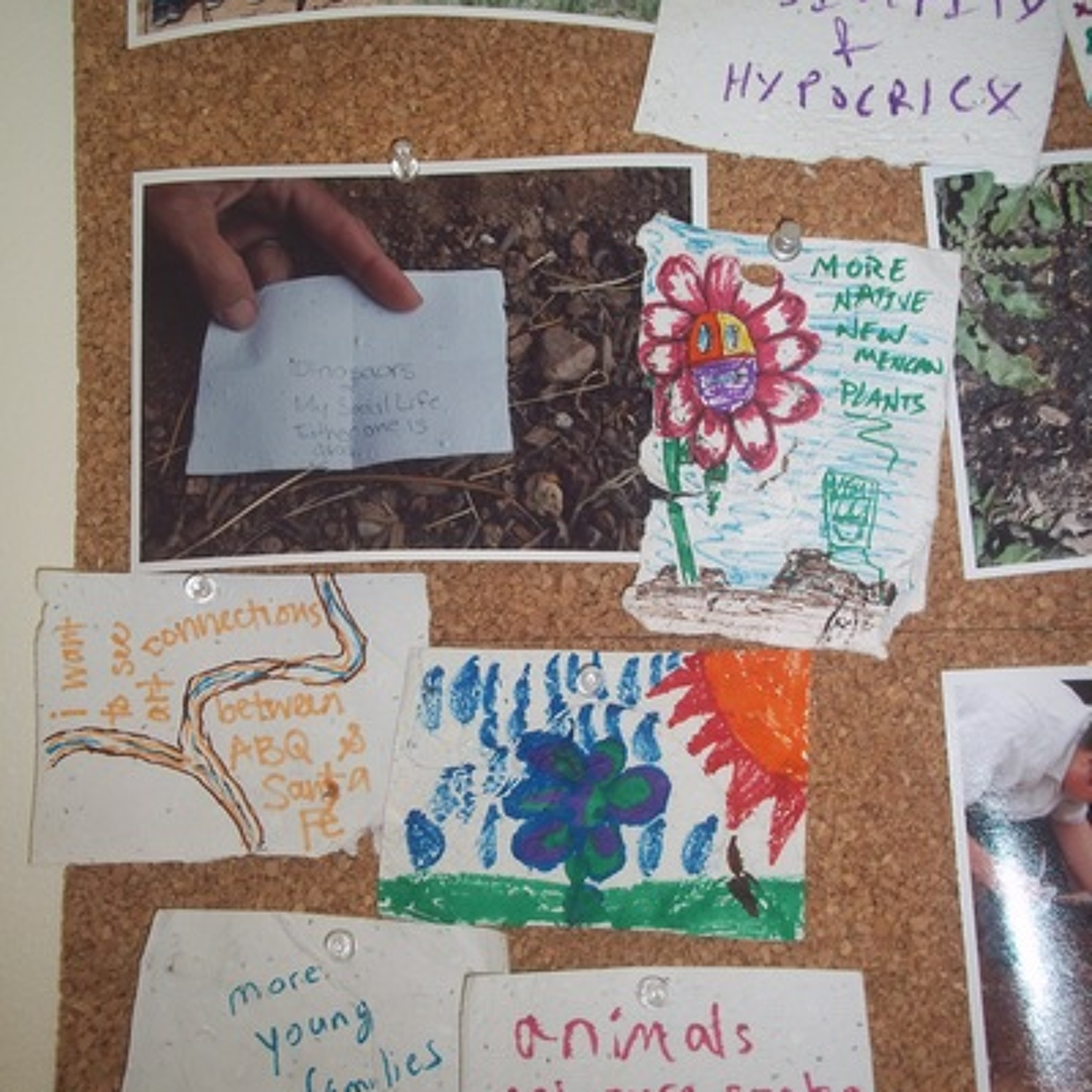 Seed Story Broadcasts