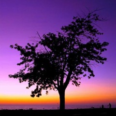 Vantage Point. Ch!ll W!ll x TunezTheCancer