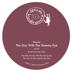SW013 - Peluché - The Guy With The Gammy Eye