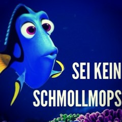 Ducktank -  Schmollmops