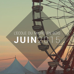 Juin 2015 - L'école du micro en bois