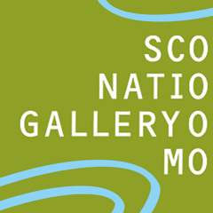 Oak by David Faithfull at the Pig Rock Bothy