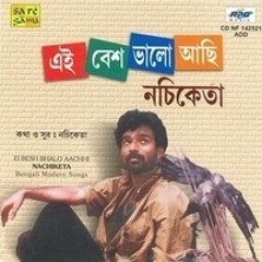 এই বেশ ভালো আছি, নচিকেতা