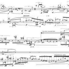 "...dass dies für untergeschoben gehalten wird." for virtual guitar (2008)