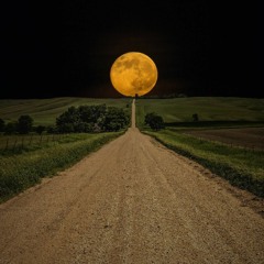 Zoé - Luna - Cover x Ilse Yáñez