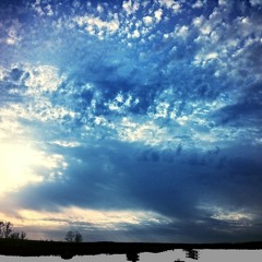 Sundry - Forever Drunken