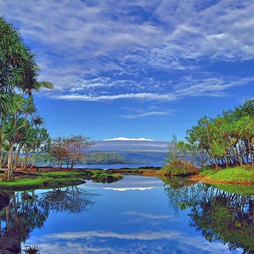 Need Me (Every Night) - Ho'okoa