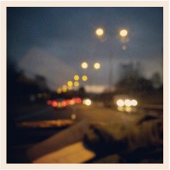 Fruitless Forest Ft Amy Lou - North Star Lover