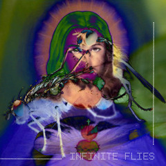 Infinite Flies
