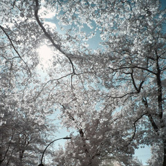 The Notorious - Everyday Struggle [SKNY Rework](Tribute)