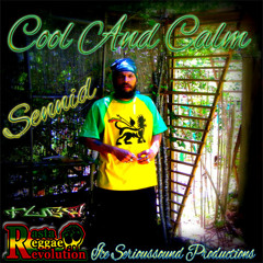 roots reggae tune