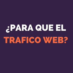 Tráfico Web - Ahora Que Lo Tiene Qué Hará Con Este