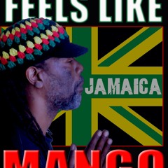 Mango - Feels Like Jamaica