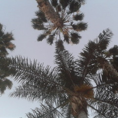 Grind And Grind And Grind