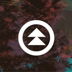 Northern Nights Music Festival '15 <3