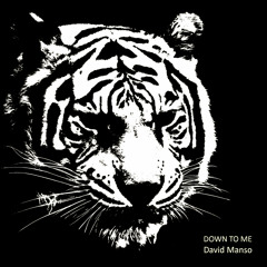 David Manso - Down To Me (Dellmon Remix) out now !