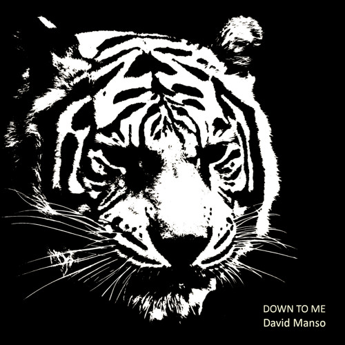 David Manso - Down To Me (Dellmon Remix) out now !