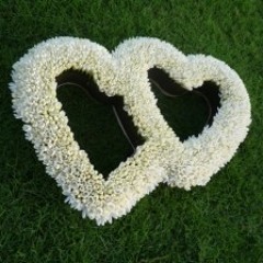 H.E.I.R.A.N.I. (The Illiterate Guy)