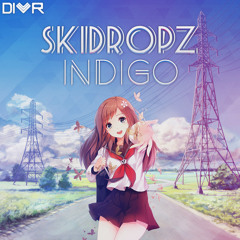 SkiDropz - Indigo