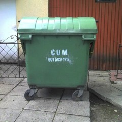 S.A.C'D(She's A Cum Dumpster) Prod.By Djziggi