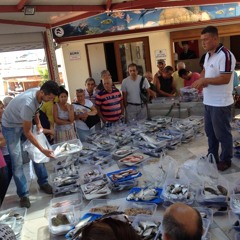 Balık Açık Arttırma - Urla