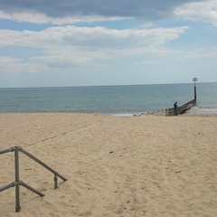 Sounds from Friday morning