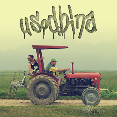 DRHALL - Usodbina (RadioEdit)